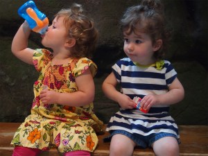 Toddler Talk Web Episode 6