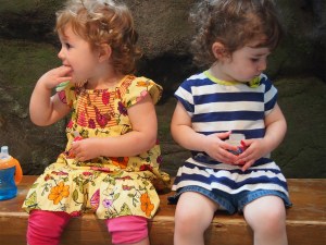 Toddler Talk Web Episode 6