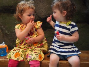 Toddler Talk Web Episode 6