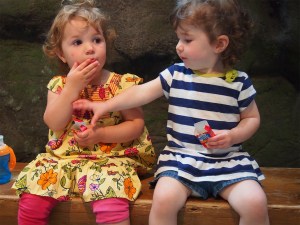 Toddler Talk Web Episode 6