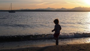 Golden Gardens Sunset