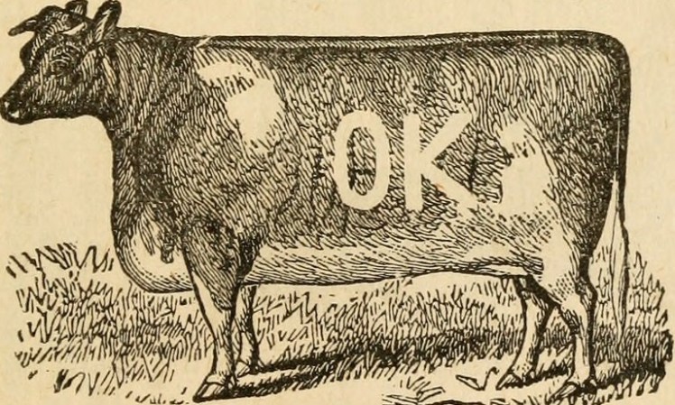 Not that kind of branding, silly.