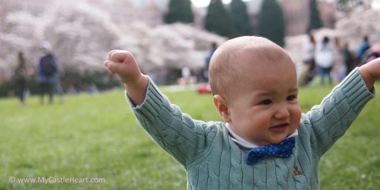 Cuddle Arms Spring Bowtie
