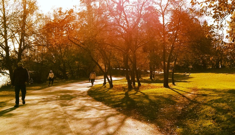 Green Lake Autumn Walk Shadows